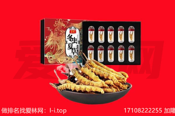 阿坝黑水县回收虫草.jpg
